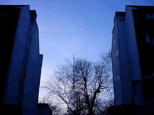 [A^̂ۂȋԂ͂ŌQ̃Ap[g