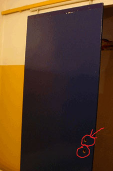 Ƃ̃hAɓKɊJꂽ̌̎ʐ^