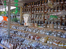 n[uAXpCXAނFƂǂAƕԃX^h̎ʐ^